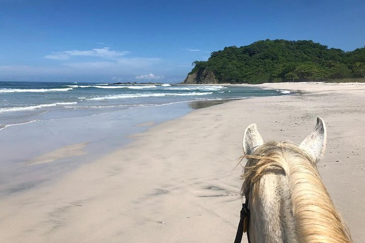Safari & Barigona Beach on horseback - Photo 1 of 4